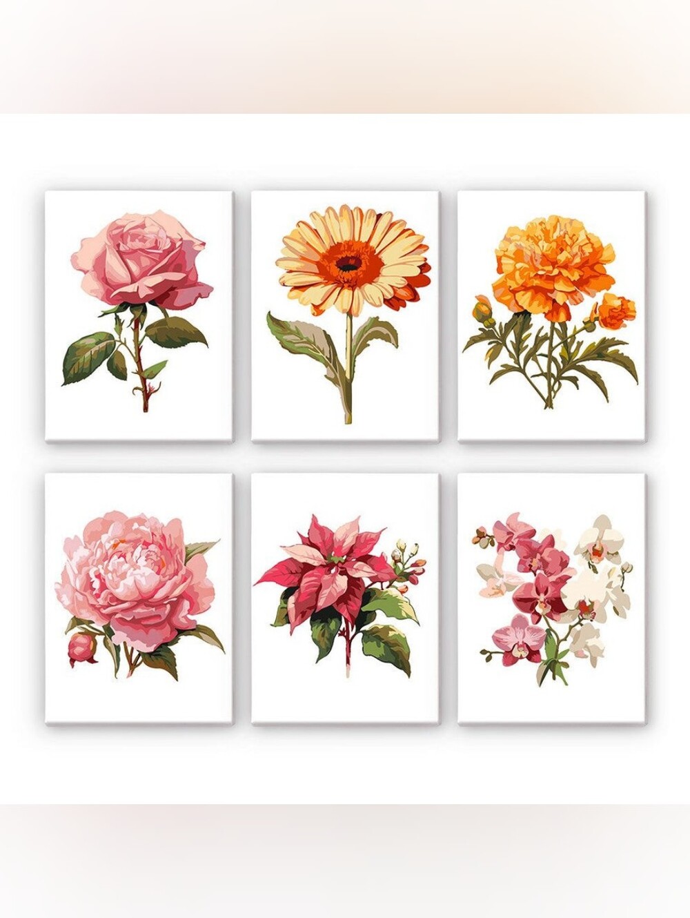 DIY Artclub. 6 Paint By Number, Floral set 6x8 Inches